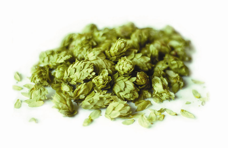 Illustration for article titled Drinking Experimental Hops in the Sixpoint Beer of the Future